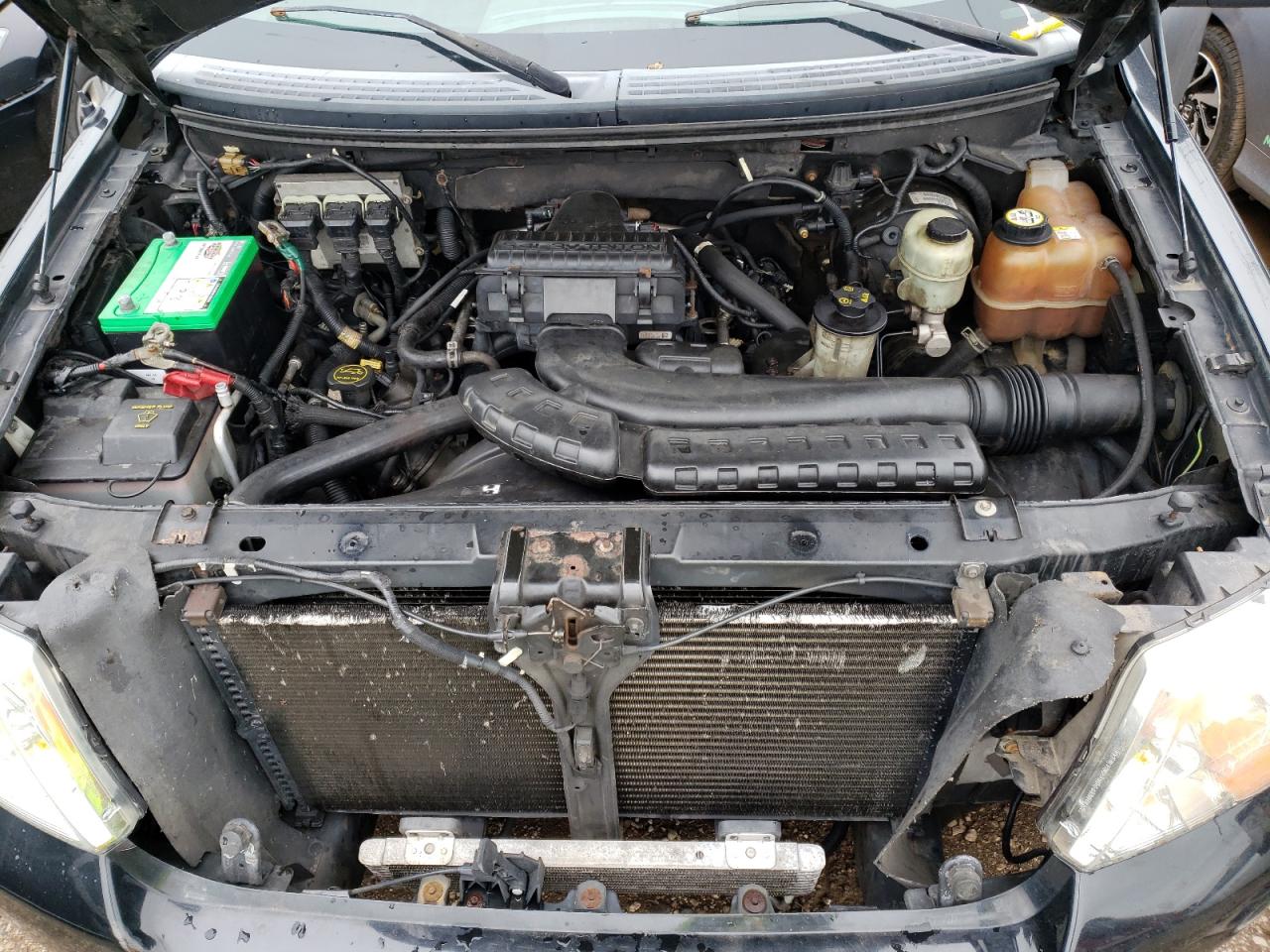 Photo 12 from auction – 2005 FORD F150 with VIN 1FTPX14525FB59631