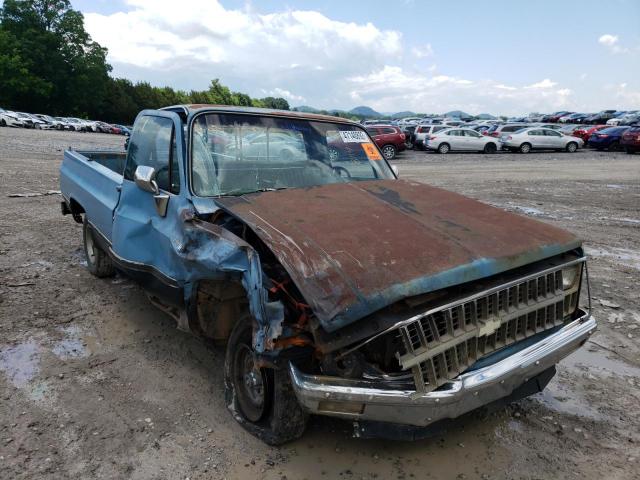 CHEVROLET C10 1981 with VIN 1GCDC14G7BF317344 - Photo from auction