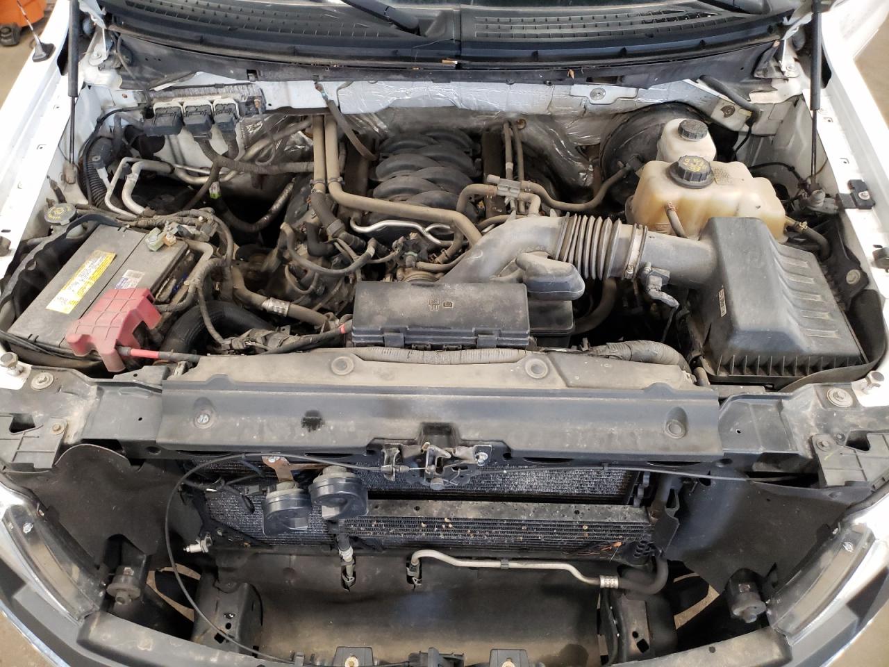 Photo 12 from auction – 2013 FORD F150 with VIN 1FTNF1CF7DKF04789