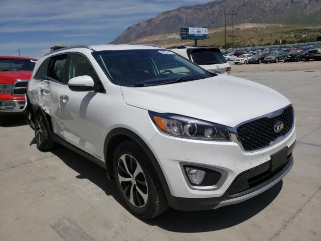 KIA SORENTO EX 2017 with VIN 5XYPHDA55HG310059 - Photo from auction