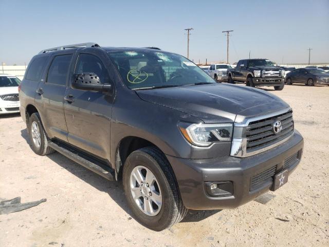 TOYOTA SEQUOIA SR 2019 with VIN 5TDBY5G17KS166626 - Photo from auction