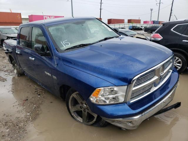 DODGE RAM 1500 2009 with VIN 1D3HV13T29J525026 - Photo from auction