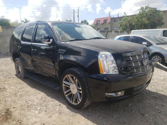 CADILLAC ESCALADE P 2013 with VIN 1GYS3CEF5DR266219 - Photo from auction