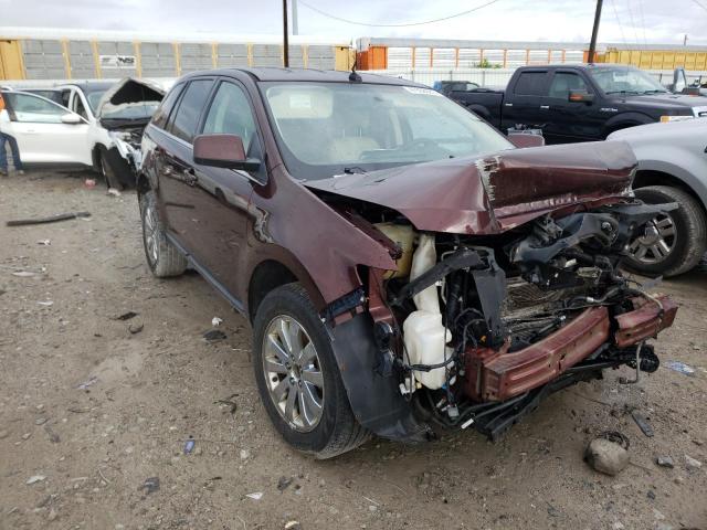 FORD EDGE LIMIT 2009 with VIN 2FMDK39C99BA29854 - Photo from auction