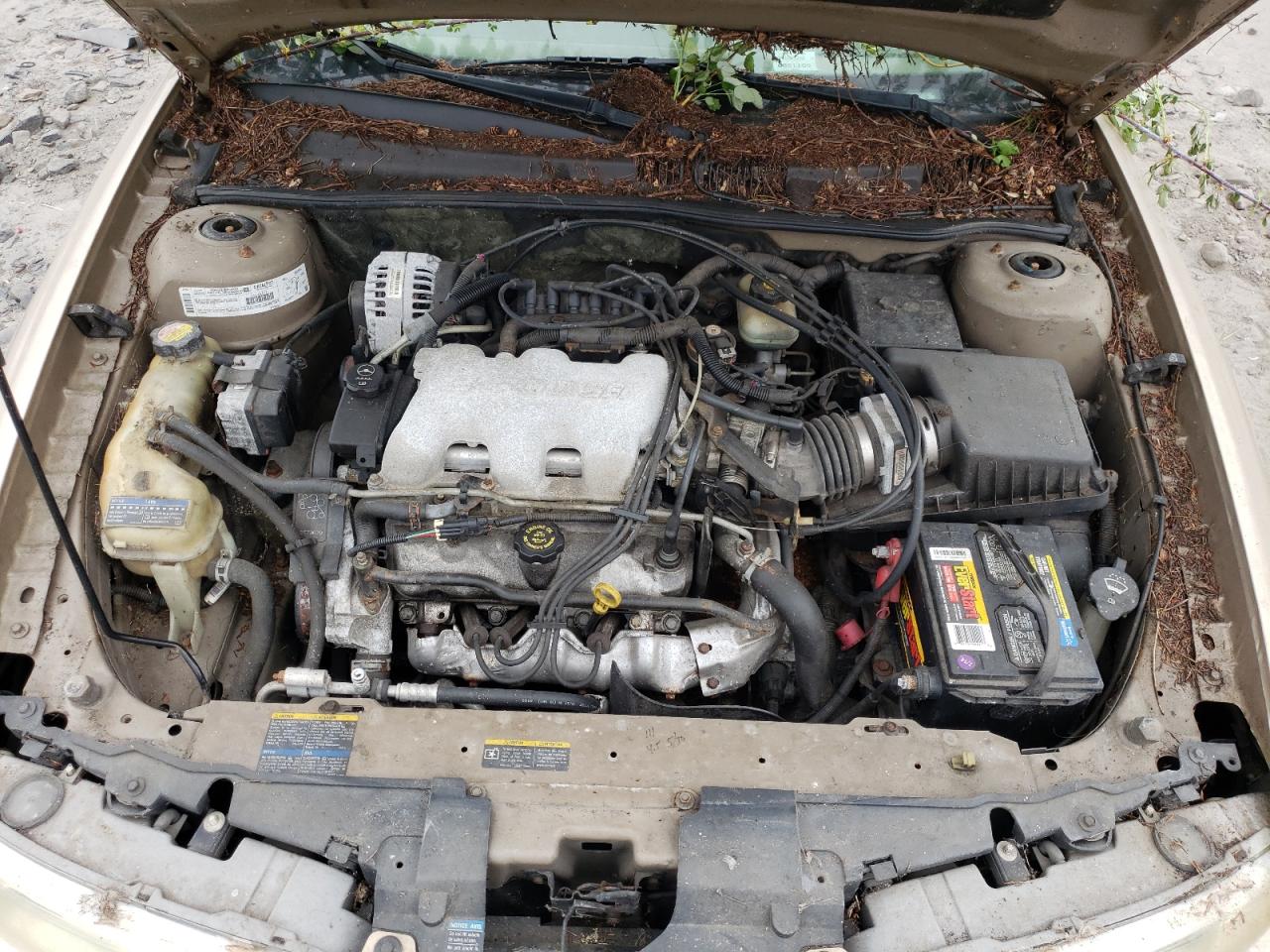 Photo 12 from auction – 2002 OLDSMOBILE ALERO GL with VIN 1G3NL52E22C237304