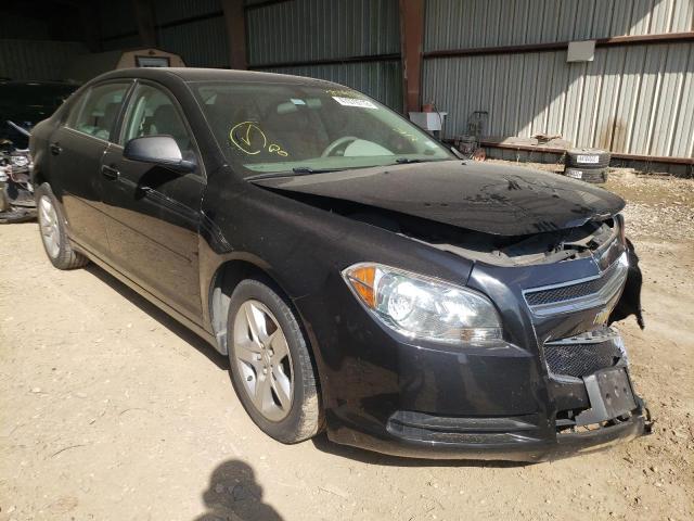 CHEVROLET MALIBU 2012 with VIN 1G1ZA5EU4CF259582 - Photo from auction