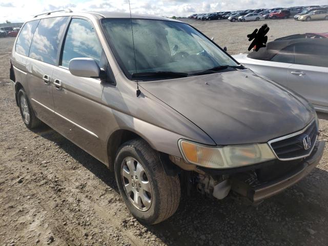 HONDA ODYSSEY EX 2004 with VIN 5FNRL180X4B037850 - Photo from auction