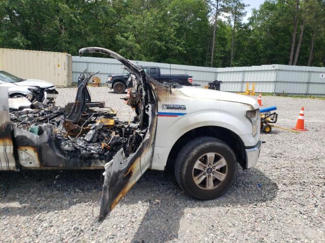 Photo 9 from auction – 2016 FORD F150 with VIN 1FTMF1CPXGFC45121