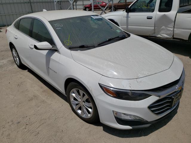 CHEVROLET MALIBU LT 2019 with VIN 1G1ZD5ST6KF158013 - Photo from auction