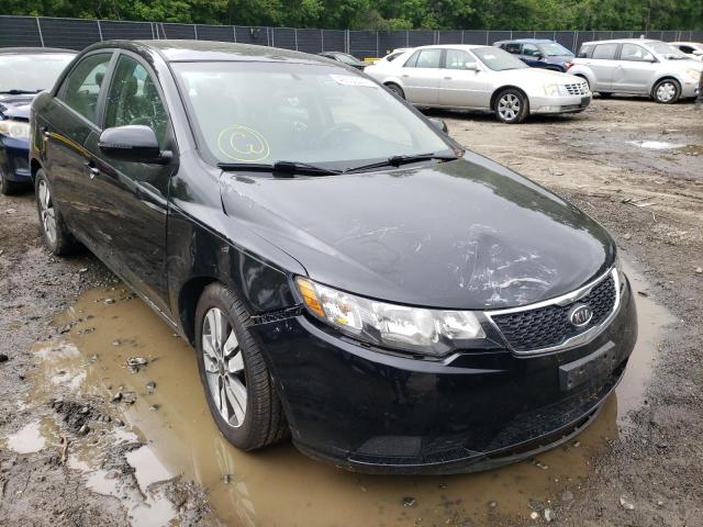 KIA FORTE EX 2013 with VIN KNAFU4A24D5738721 - Photo from auction