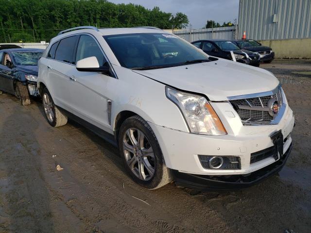 CADILLAC SRX PERFOR 2010 with VIN 3GYFNBEY3AS589801 - Photo from auction