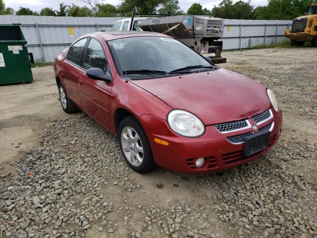 DODGE NEON SXT 2005 with VIN 1B3ES56C85D284462 - Photo from auction