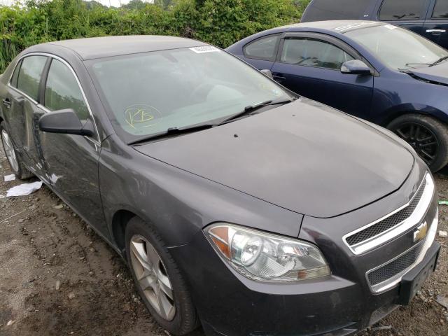 CHEVROLET MALIBU LS 2011 with VIN 1G1ZB5E17BF243930 - Photo from auction