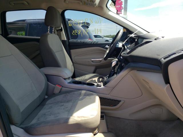 Photo 5 from auction – 2014 FORD ESCAPE SE with VIN 1FMCU0GX6EUD45484