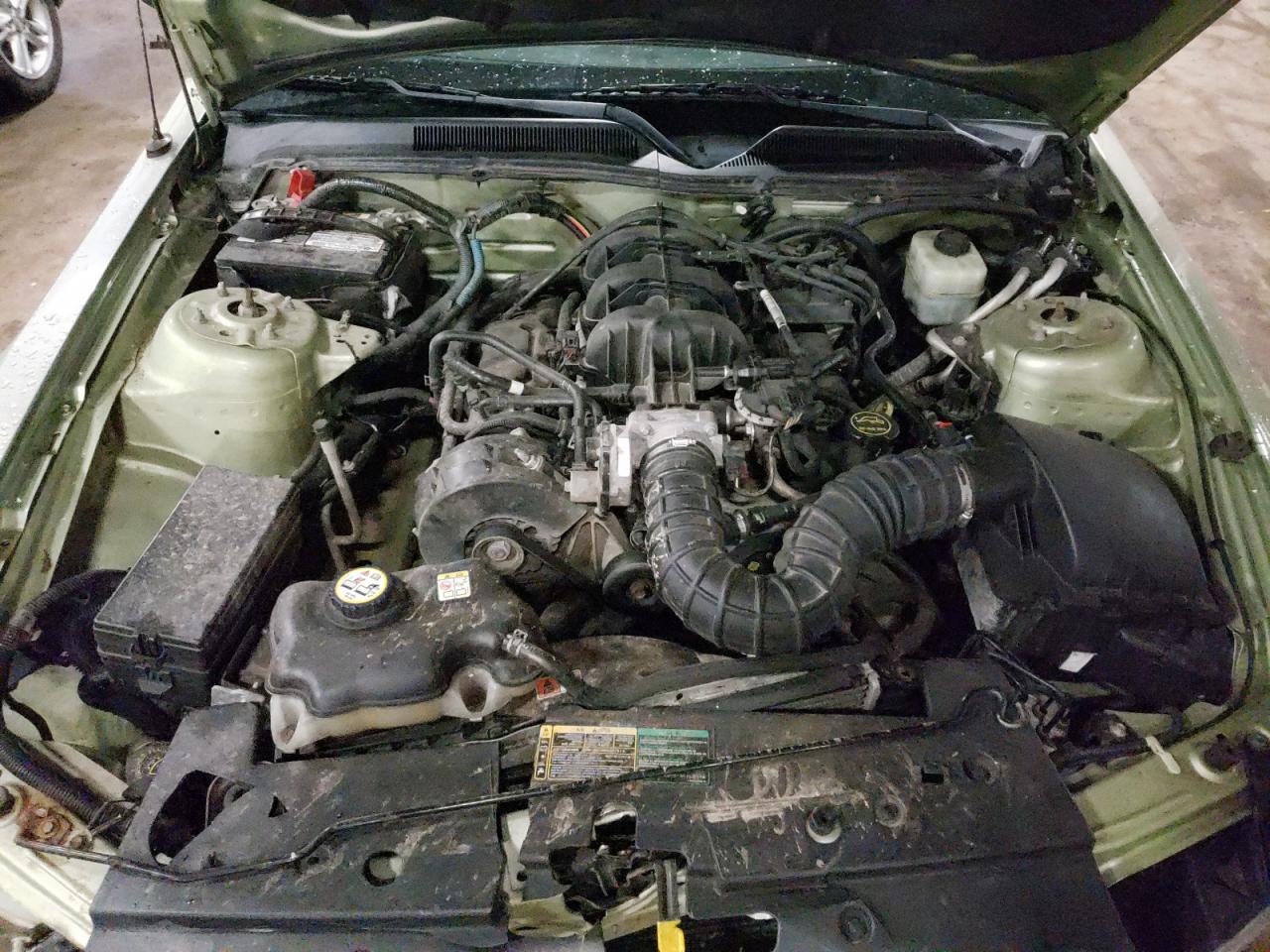 Photo 11 from auction – 2005 FORD MUSTANG with VIN 1ZVFT80N555215229