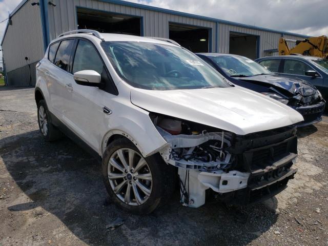 FORD ESCAPE TIT 2017 with VIN 1FMCU9JD1HUF04032 - Photo from auction