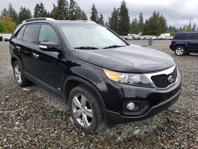 KIA SORENTO EX 2013 with VIN 5XYKUCA69DG384698 - Photo from auction