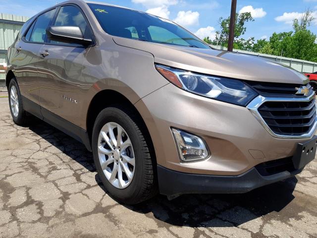 CHEVROLET EQUINOX LS 2018 with VIN 2GNAXHEV3J6290043 - Photo from auction
