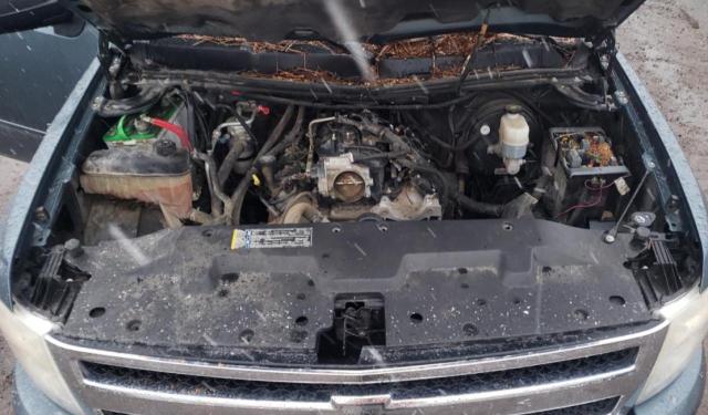 Photo 7 from auction – 2009 CHEVROLET SILVERADO with VIN 1GCEK29029Z155009