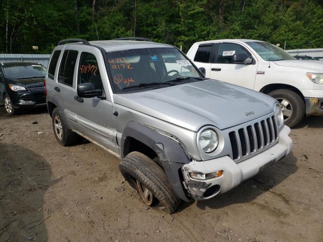 JEEP LIBERTY SP 2002 with VIN 1J4GL48K72W123985 - Photo from auction