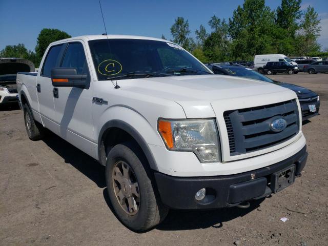 FORD F150 SUPER 2009 with VIN 1FTPW14V59FA03074 - Photo from auction