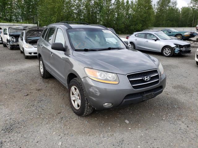 HYUNDAI SANTA FE G 2009 with VIN 5NMSG73D19H231871 - Photo from auction