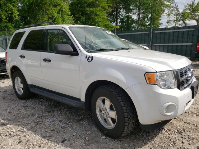 FORD ESCAPE XLT 2011 with VIN 1FMCU9DG4BKC65181 - Photo from auction