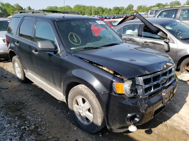 Photo 1 from auction – 2009 FORD ESCAPE XLT with VIN 1FMCU93G89KB85748