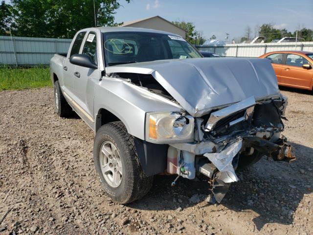 DODGE DAKOTA QUA 2005 with VIN 1D7HW48N55S262185 - Photo from auction