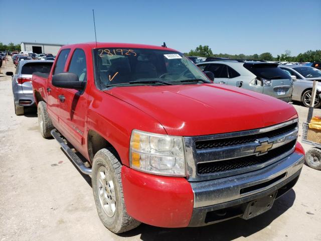 CHEVROLET 1500 2009 with VIN 3GCEK23M39G281925 - Photo from auction