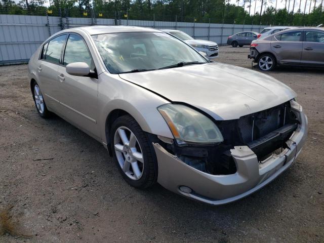 NISSAN MAXIMA SE 2006 with VIN 1N4BA41E36C814857 - Photo from auction