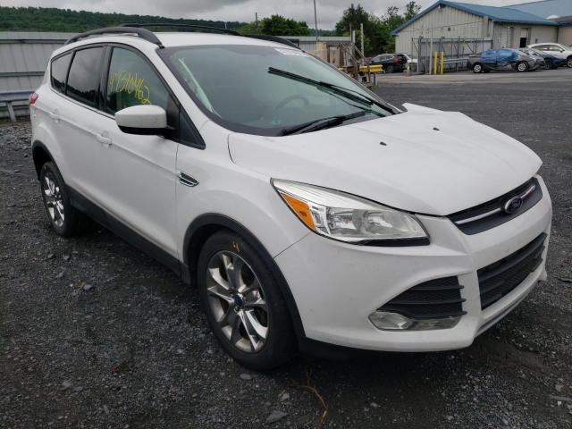 Photo 1 from auction – 2014 FORD ESCAPE SE with VIN 1FMCU9G93EUC81135