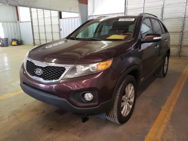Photo 2 from auction – 2011 KIA SORENTO BA with VIN 5XYKTDA25BG078827