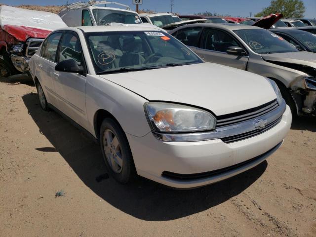 CHEVROLET MALIBU LS 2005 with VIN 1G1ZT54845F223893 - Photo from auction