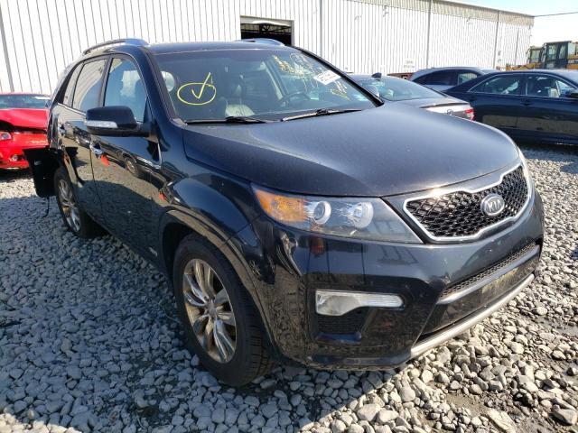 KIA SORENTO SX 2012 with VIN 5XYKWDA29CG196954 - Photo from auction