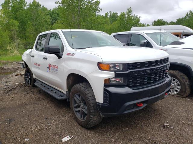 CHEVROLET SILVERADO 2019 with VIN 1GCPYCEF6KZ195137 - Photo from auction
