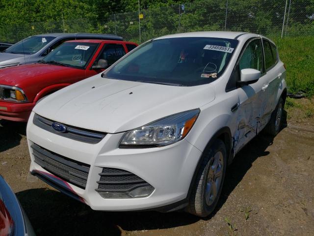 Photo 2 from auction – 2016 FORD ESCAPE SE with VIN 1FMCU0G76GUA04847