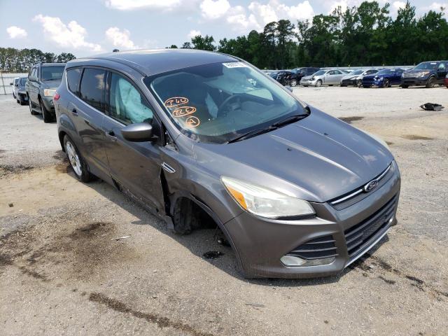 FORD ESCAPE SE 2014 with VIN 1FMCU0GX7EUA54329 - Photo from auction