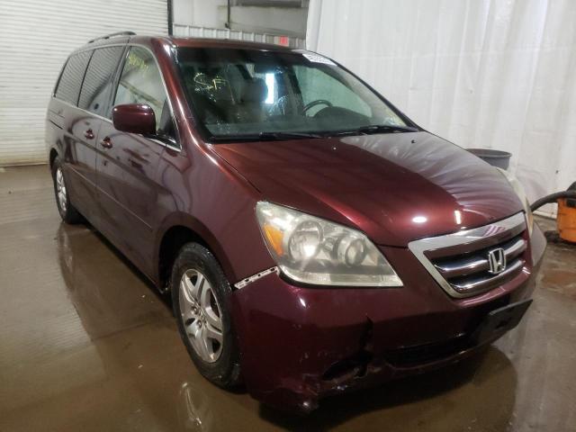 HONDA ODYSSEY EX 2007 with VIN 5FNRL38677B442715 - Photo from auction