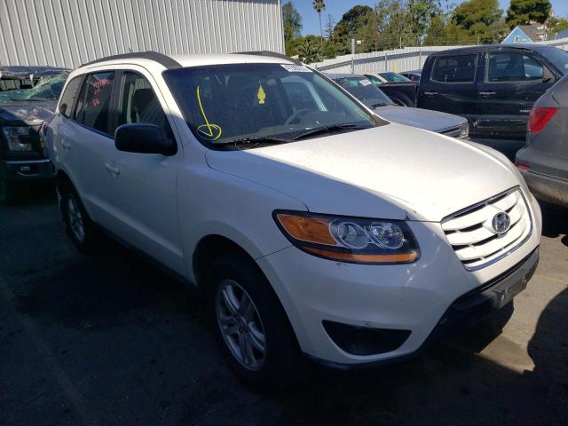 HYUNDAI SANTA FE G 2010 with VIN 5NMSGDAB7AH371783 - Photo from auction