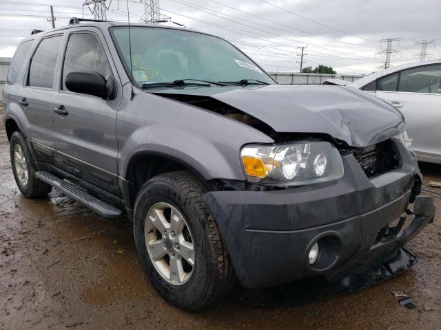 Photo 1 from auction – 2007 FORD ESCAPE XLT with VIN 1FMYU93137KA43046