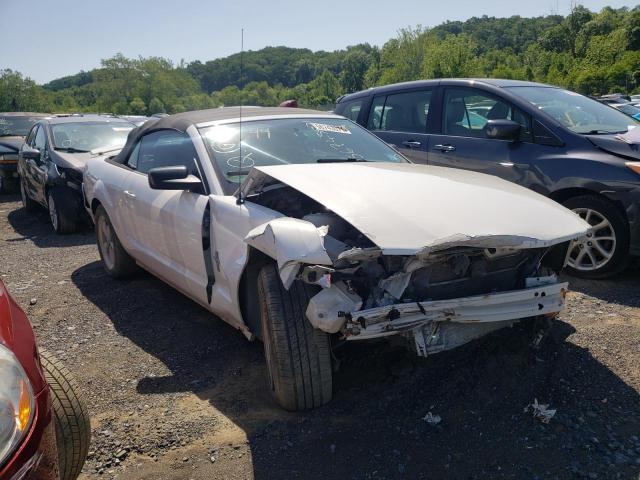 FORD MUSTANG 2007 with VIN 1ZVHT84N375206941 - Photo from auction