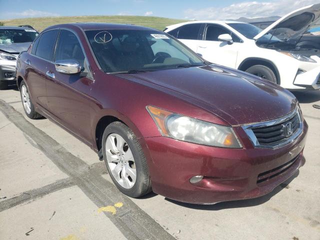 Photo 1 from auction – 2008 HONDA ACCORD EXL with VIN 1HGCP368X8A077103