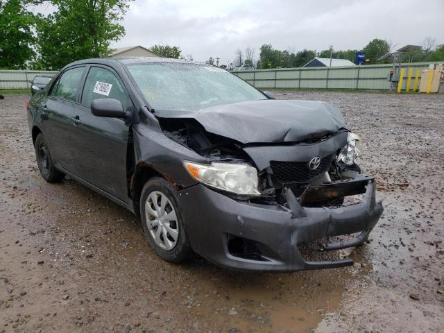 TOYOTA COROLLA BA 2009 with VIN JTDBL40E69J026371 - Photo from auction