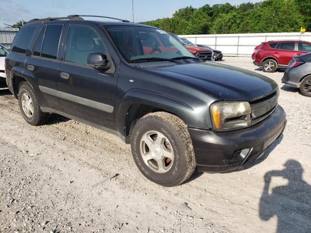CHEVROLET TRAILBLAZE 2005 with VIN 1GNDT13S652317005 - Photo from auction