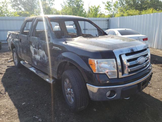 Photo 1 from auction – 2009 FORD F150 SUPER with VIN 1FTPW14V99FA18919