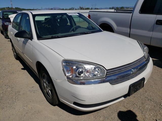 CHEVROLET MALIBU LS 2005 with VIN 1G1ZT52855F295480 - Photo from auction