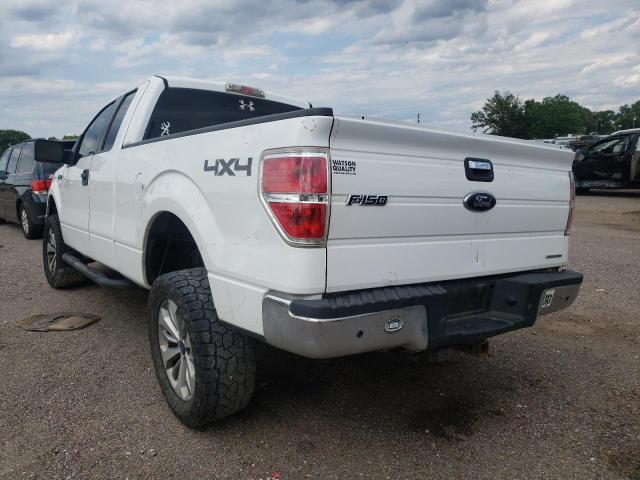 Foto 3 de la subasta – 2010 FORD F150 SUPER con VIN 1FTFX1EV9AKE18322