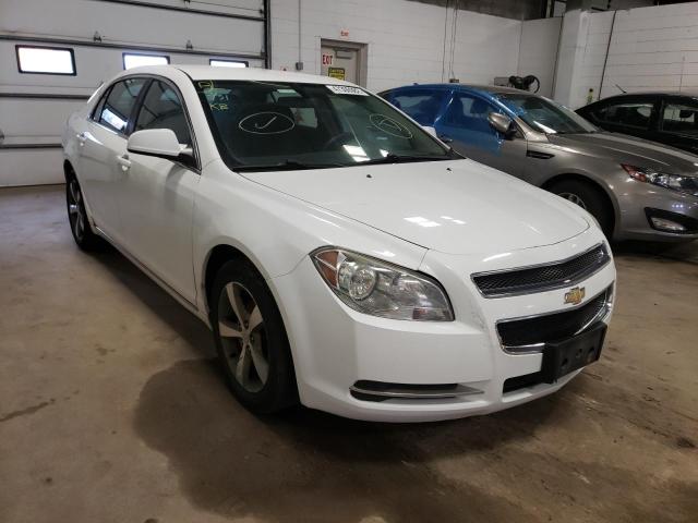 CHEVROLET MALIBU 1LT 2011 with VIN 1G1ZC5EU3BF143797 - Photo from auction