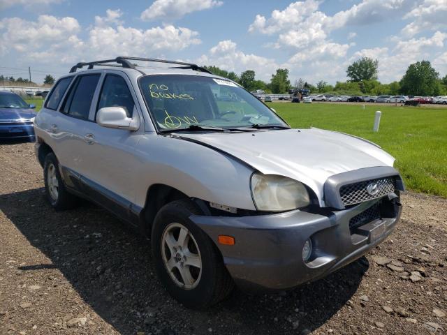 HYUNDAI SANTA FE G 2003 with VIN KM8SC73D23U455142 - Photo from auction